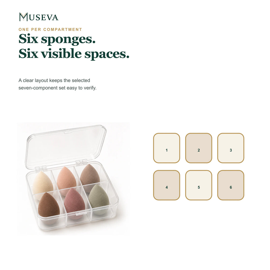 Open sponge case beside a six-space compartment diagram.