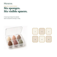 Open sponge case beside a six-space compartment diagram.