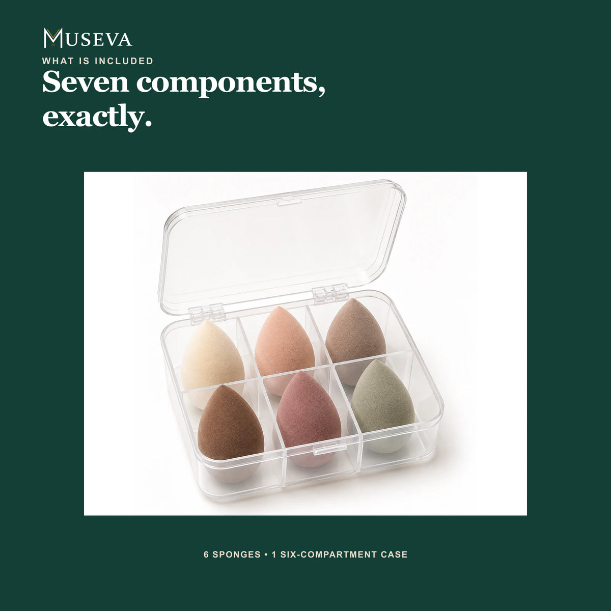 Included set with six sponges and one six-compartment clear case.